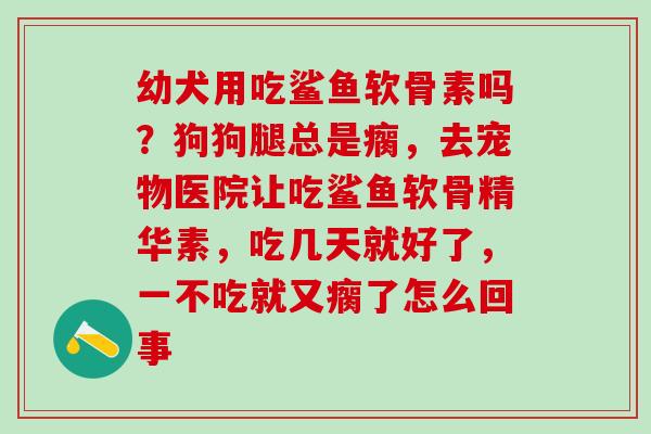 幼犬用吃鲨鱼软骨素吗?狗狗腿总是瘸,去宠物医院让吃鲨鱼软骨精华素,吃几天就好了,一不吃就又瘸了怎么回事-第1张图片-氨糖科普网 幼犬用吃鲨鱼软骨素吗?狗狗腿总是瘸,去宠物医院让吃鲨鱼软骨精华素,吃几天就好了,一不吃就又瘸了怎么回事-第1张图片-氨糖科普网