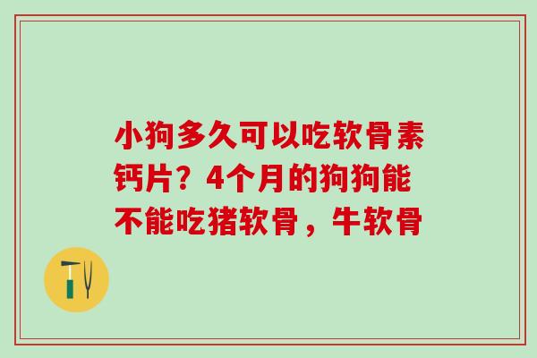 小狗多久可以吃软骨素钙片?4个月的狗狗能不能吃猪软骨,牛软骨-第1张图片-氨糖科普网 小狗多久可以吃软骨素钙片?4个月的狗狗能不能吃猪软骨,牛软骨-第1张图片-氨糖科普网