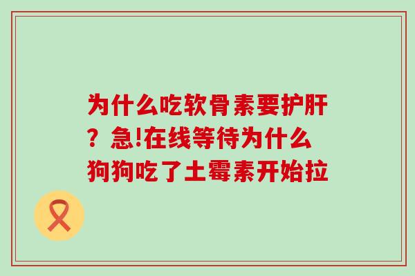 为什么吃软骨素要护肝?急!在线等待为什么狗狗吃了土霉素开始拉-第1张图片-氨糖科普网 为什么吃软骨素要护肝?急!在线等待为什么狗狗吃了土霉素开始拉-第1张图片-氨糖科普网