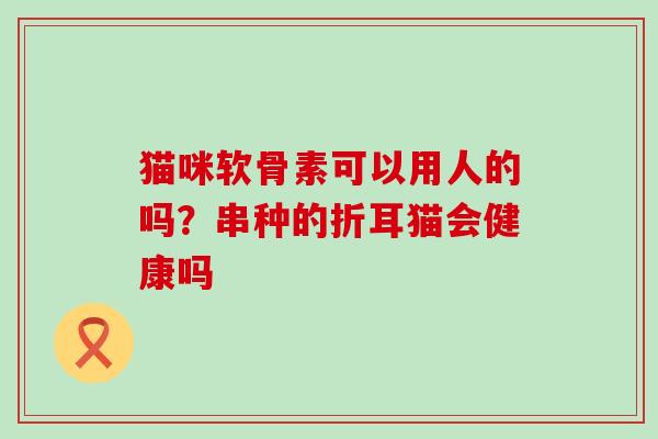 猫咪软骨素可以用人的吗？串种的折耳猫会健康吗-第1张图片-氨糖科普网