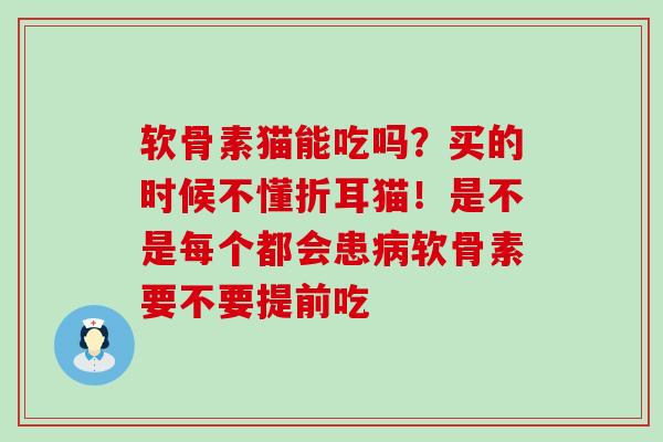软骨素猫能吃吗？买的时候不懂折耳猫！是不是每个都会患病软骨素要不要提前吃-第1张图片-氨糖科普网