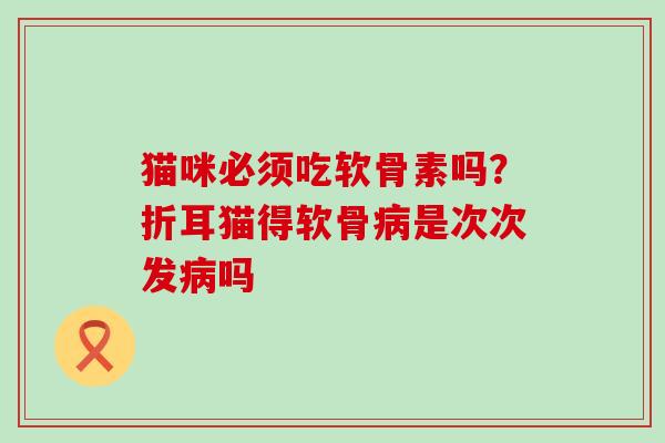 猫咪必须吃软骨素吗?折耳猫得软骨病是次次发病吗-第1张图片-氨糖科普网 猫咪必须吃软骨素吗?折耳猫得软骨病是次次发病吗-第1张图片-氨糖科普网
