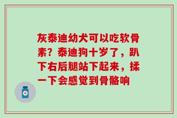灰泰迪幼犬可以吃软骨素?泰迪狗十岁了,趴下右后腿站下起来,揉一下会感觉到骨骼响-第1张图片-氨糖科普网 灰泰迪幼犬可以吃软骨素?泰迪狗十岁了,趴下右后腿站下起来,揉一下会感觉到骨骼响-第1张图片-氨糖科普网