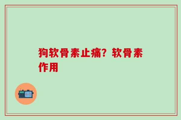 狗软骨素止痛?软骨素作用-第1张图片-氨糖科普网 狗软骨素止痛?软骨素作用-第1张图片-氨糖科普网