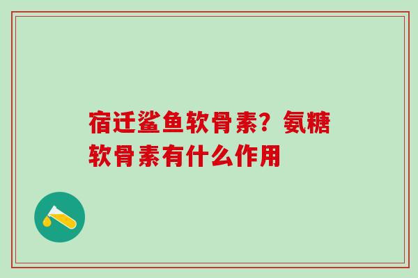 宿迁鲨鱼软骨素?氨糖软骨素有什么作用-第1张图片-氨糖科普网 宿迁鲨鱼软骨素?氨糖软骨素有什么作用-第1张图片-氨糖科普网