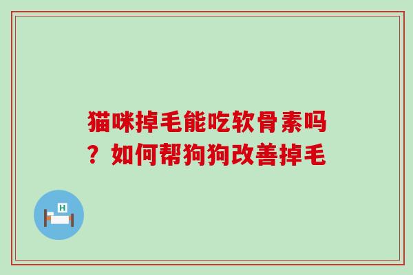 猫咪掉毛能吃软骨素吗？如何帮狗狗改善掉毛-第1张图片-氨糖科普网