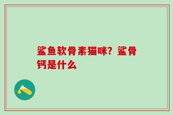 鲨鱼软骨素猫咪？鲨骨钙是什么-第1张图片-氨糖科普网