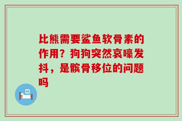 比熊需要鲨鱼软骨素的作用?狗狗突然哀嚎发抖,是髌骨移位的问题吗-第1张图片-氨糖科普网 比熊需要鲨鱼软骨素的作用?狗狗突然哀嚎发抖,是髌骨移位的问题吗-第1张图片-氨糖科普网