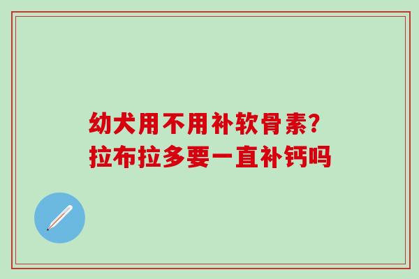 幼犬用不用补软骨素?拉布拉多要一直补钙吗-第1张图片-氨糖科普网 幼犬用不用补软骨素?拉布拉多要一直补钙吗-第1张图片-氨糖科普网