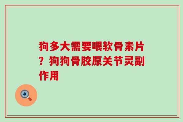 狗多大需要喂软骨素片?狗狗骨胶原关节灵副作用-第1张图片-氨糖科普网 狗多大需要喂软骨素片?狗狗骨胶原关节灵副作用-第1张图片-氨糖科普网