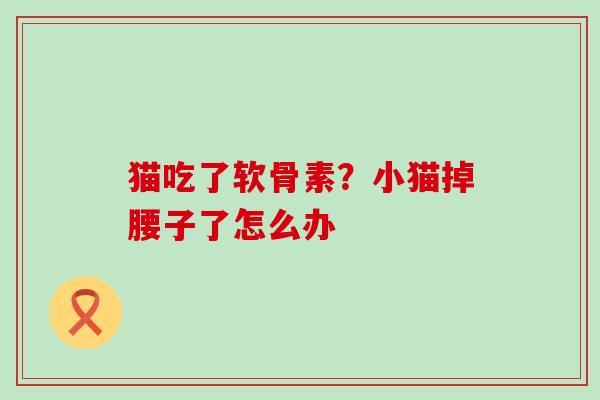 猫吃了软骨素？小猫掉腰子了怎么办-第1张图片-氨糖科普网