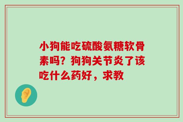 小狗能吃硫酸氨糖软骨素吗?狗狗关节炎了该吃什么药好,求教-第1张图片-氨糖科普网 小狗能吃硫酸氨糖软骨素吗?狗狗关节炎了该吃什么药好,求教-第1张图片-氨糖科普网