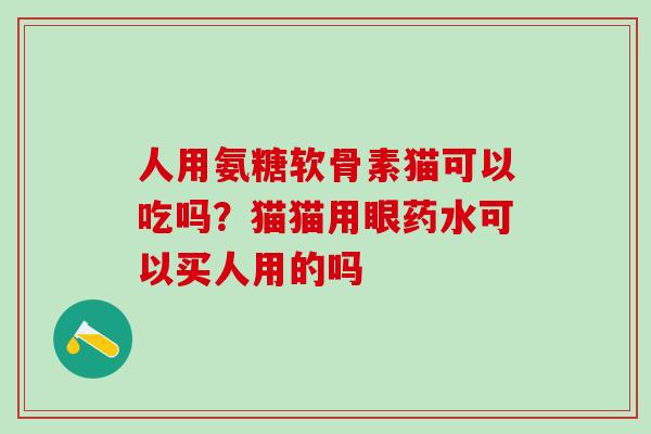 人用氨糖软骨素猫可以吃吗?猫猫用眼药水可以买人用的吗-第1张图片-氨糖科普网 人用氨糖软骨素猫可以吃吗?猫猫用眼药水可以买人用的吗-第1张图片-氨糖科普网