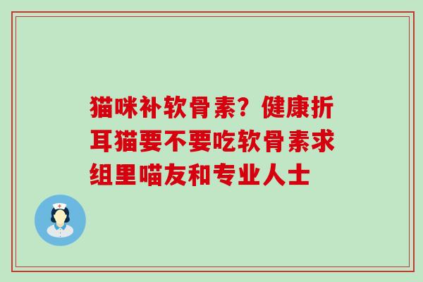 猫咪补软骨素？健康折耳猫要不要吃软骨素求组里喵友和专业人士-第1张图片-氨糖科普网