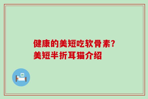 健康的美短吃软骨素?美短半折耳猫介绍-第1张图片-氨糖科普网 健康的美短吃软骨素?美短半折耳猫介绍-第1张图片-氨糖科普网