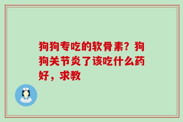 狗狗专吃的软骨素?狗狗关节炎了该吃什么药好,求教-第1张图片-氨糖科普网 狗狗专吃的软骨素?狗狗关节炎了该吃什么药好,求教-第1张图片-氨糖科普网