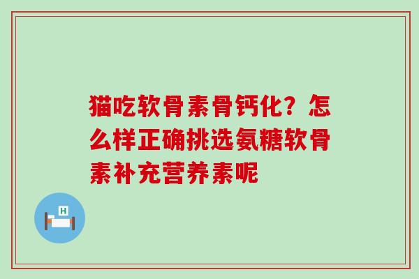 猫吃软骨素骨钙化?怎么样正确挑选氨糖软骨素补充营养素呢-第1张图片-氨糖科普网 猫吃软骨素骨钙化?怎么样正确挑选氨糖软骨素补充营养素呢-第1张图片-氨糖科普网