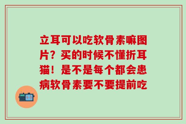 立耳可以吃软骨素嘛图片？买的时候不懂折耳猫！是不是每个都会患病软骨素要不要提前吃-第1张图片-氨糖科普网