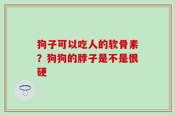 狗子可以吃人的软骨素？狗狗的脖子是不是很硬-第1张图片-氨糖科普网