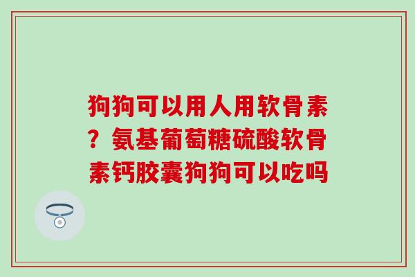 狗狗可以用人用软骨素?氨基葡萄糖硫酸软骨素钙胶囊狗狗可以吃吗-第1张图片-氨糖科普网 狗狗可以用人用软骨素?氨基葡萄糖硫酸软骨素钙胶囊狗狗可以吃吗-第1张图片-氨糖科普网