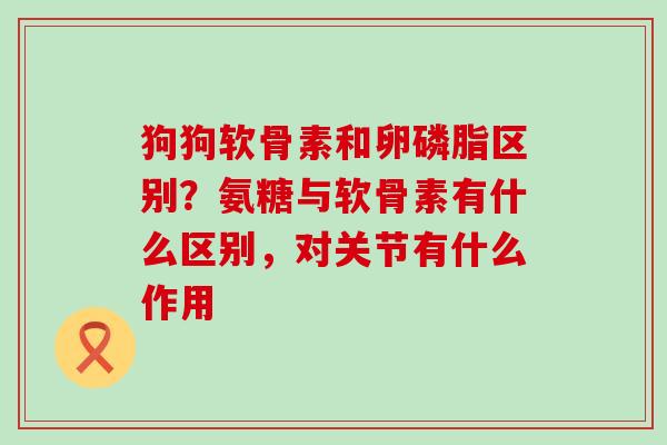 狗狗软骨素和卵磷脂区别？氨糖与软骨素有什么区别，对关节有什么作用-第1张图片-氨糖科普网