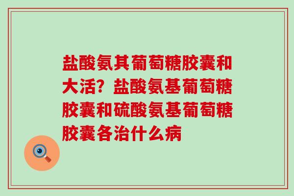 盐酸氨其葡萄糖胶囊和大活?盐酸氨基葡萄糖胶囊和硫酸氨基葡萄糖胶囊各治什么病-第1张图片-氨糖科普网 盐酸氨其葡萄糖胶囊和大活?盐酸氨基葡萄糖胶囊和硫酸氨基葡萄糖胶囊各治什么病-第1张图片-氨糖科普网