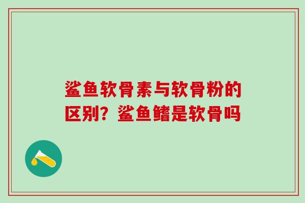 鲨鱼软骨素与软骨粉的区别?鲨鱼鳍是软骨吗-第1张图片-氨糖科普网 鲨鱼软骨素与软骨粉的区别?鲨鱼鳍是软骨吗-第1张图片-氨糖科普网