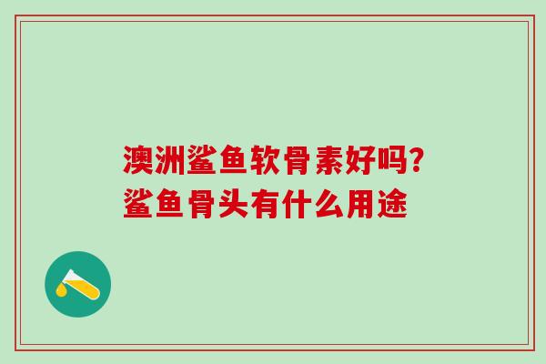 澳洲鲨鱼软骨素好吗?鲨鱼骨头有什么用途-第1张图片-氨糖科普网 澳洲鲨鱼软骨素好吗?鲨鱼骨头有什么用途-第1张图片-氨糖科普网