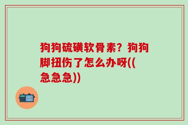 狗狗硫磺软骨素?狗狗脚扭伤了怎么办呀((急急急))-第1张图片-氨糖科普网 狗狗硫磺软骨素?狗狗脚扭伤了怎么办呀((急急急))-第1张图片-氨糖科普网