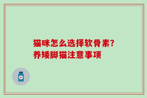 猫咪怎么选择软骨素?养矮脚猫注意事项-第1张图片-氨糖科普网 猫咪怎么选择软骨素?养矮脚猫注意事项-第1张图片-氨糖科普网
