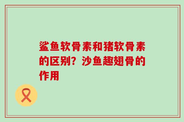 鲨鱼软骨素和猪软骨素的区别?沙鱼趣翅骨的作用-第1张图片-氨糖科普网 鲨鱼软骨素和猪软骨素的区别?沙鱼趣翅骨的作用-第1张图片-氨糖科普网