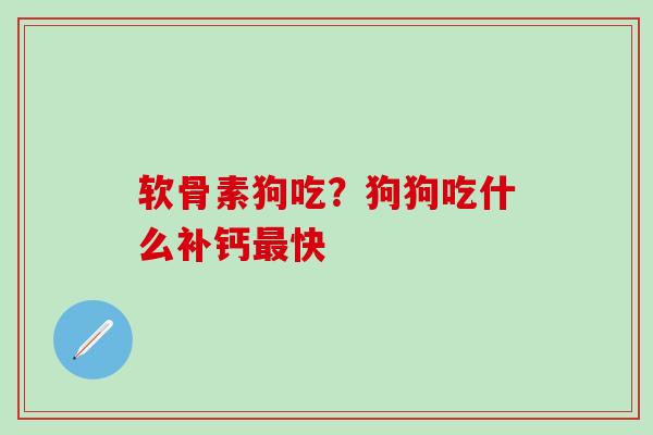软骨素狗吃?狗狗吃什么补钙最快-第1张图片-氨糖科普网 软骨素狗吃?狗狗吃什么补钙最快-第1张图片-氨糖科普网