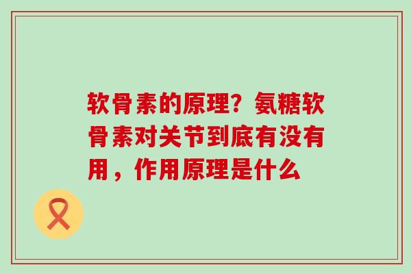 软骨素的原理？氨糖软骨素对关节到底有没有用，作用原理是什么-第1张图片-氨糖科普网