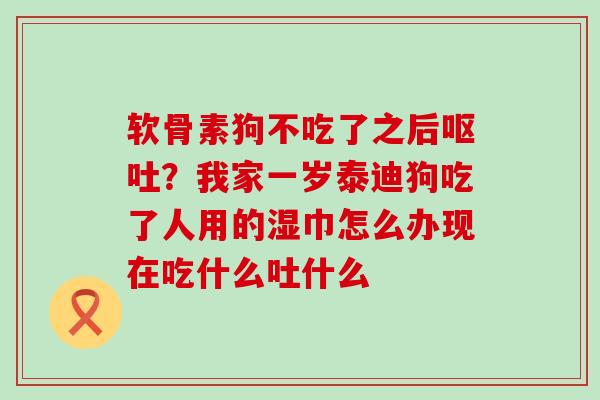 软骨素狗不吃了之后呕吐？我家一岁泰迪狗吃了人用的湿巾怎么办现在吃什么吐什么-第1张图片-氨糖科普网