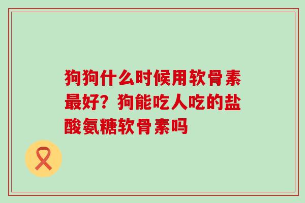 狗狗什么时候用软骨素最好？狗能吃人吃的盐酸氨糖软骨素吗-第1张图片-氨糖科普网
