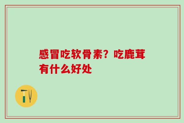 感冒吃软骨素？吃鹿茸有什么好处-第1张图片-氨糖科普网