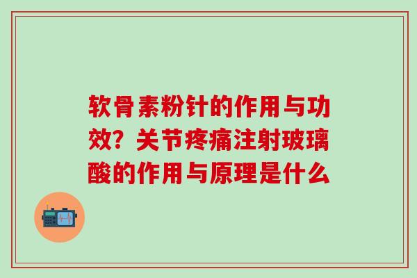软骨素粉针的作用与功效？关节疼痛注射玻璃酸的作用与原理是什么-第1张图片-氨糖科普网