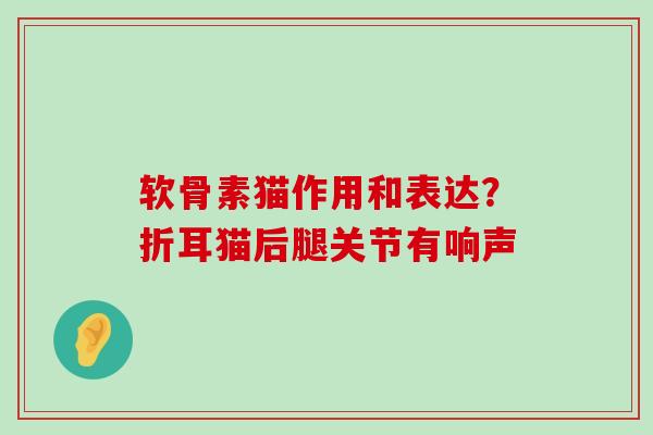 软骨素猫作用和表达?折耳猫后腿关节有响声-第1张图片-氨糖科普网 软骨素猫作用和表达?折耳猫后腿关节有响声-第1张图片-氨糖科普网
