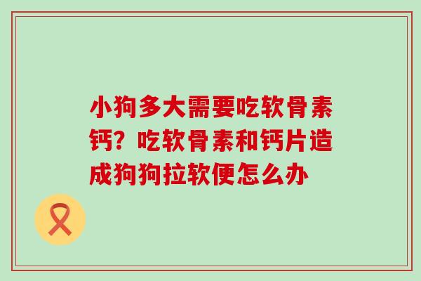 小狗多大需要吃软骨素钙?吃软骨素和钙片造成狗狗拉软便怎么办-第1张图片-氨糖科普网 小狗多大需要吃软骨素钙?吃软骨素和钙片造成狗狗拉软便怎么办-第1张图片-氨糖科普网
