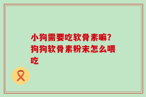 小狗需要吃软骨素嘛?狗狗软骨素粉末怎么喂吃-第1张图片-氨糖科普网 小狗需要吃软骨素嘛?狗狗软骨素粉末怎么喂吃-第1张图片-氨糖科普网