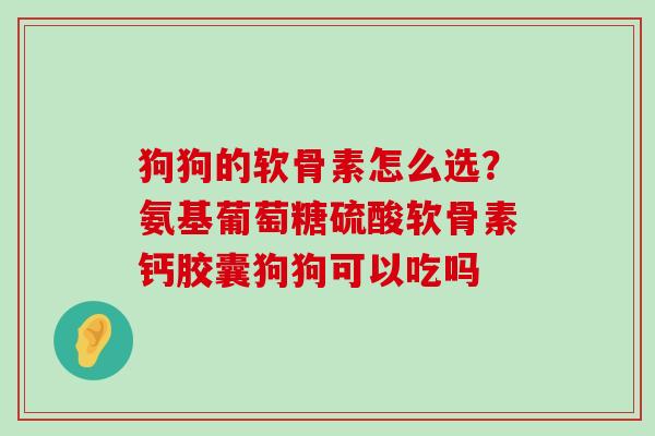狗狗的软骨素怎么选？氨基葡萄糖硫酸软骨素钙胶囊狗狗可以吃吗-第1张图片-氨糖科普网