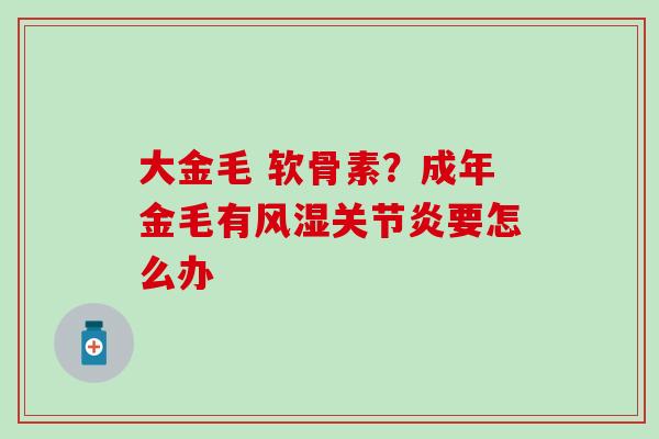 大金毛 软骨素？成年金毛有风湿关节炎要怎么办-第1张图片-氨糖科普网
