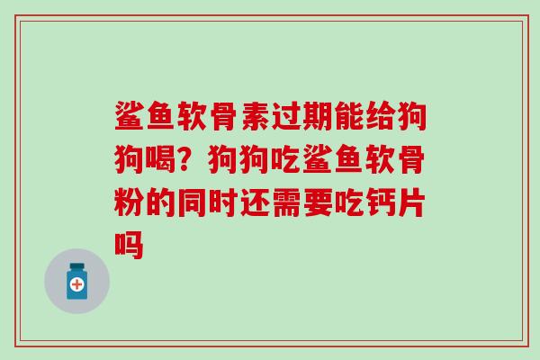 鲨鱼软骨素过期能给狗狗喝?狗狗吃鲨鱼软骨粉的同时还需要吃钙片吗-第1张图片-氨糖科普网 鲨鱼软骨素过期能给狗狗喝?狗狗吃鲨鱼软骨粉的同时还需要吃钙片吗-第1张图片-氨糖科普网