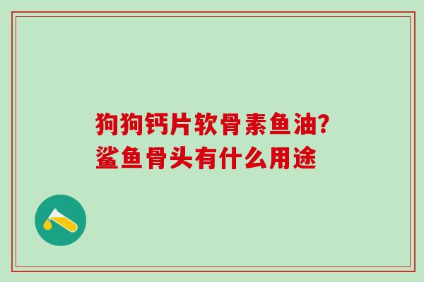 狗狗钙片软骨素鱼油？鲨鱼骨头有什么用途-第1张图片-氨糖科普网