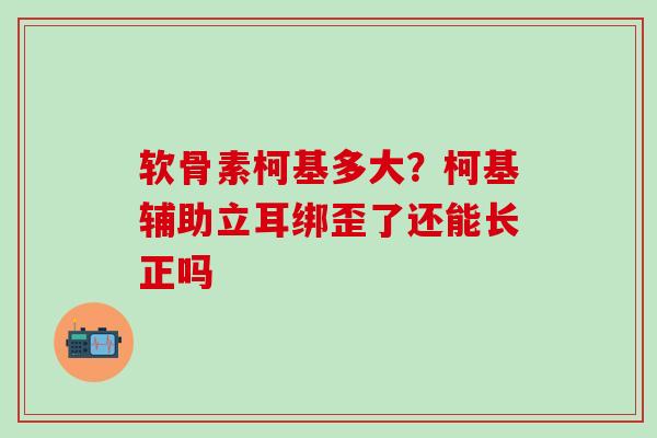 软骨素柯基多大？柯基辅助立耳绑歪了还能长正吗-第1张图片-氨糖科普网