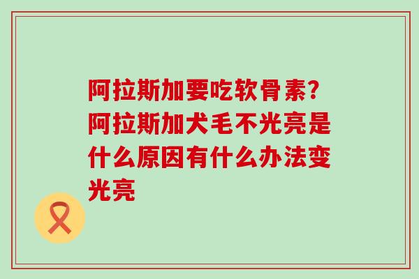 阿拉斯加要吃软骨素?阿拉斯加犬毛不光亮是什么原因有什么办法变光亮-第1张图片-氨糖科普网 阿拉斯加要吃软骨素?阿拉斯加犬毛不光亮是什么原因有什么办法变光亮-第1张图片-氨糖科普网