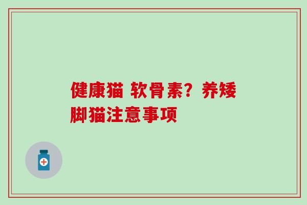 健康猫 软骨素?养矮脚猫注意事项-第1张图片-氨糖科普网 健康猫 软骨素?养矮脚猫注意事项-第1张图片-氨糖科普网