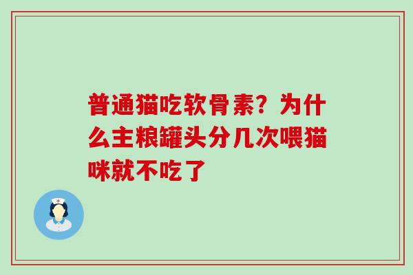 普通猫吃软骨素?为什么主粮罐头分几次喂猫咪就不吃了-第1张图片-氨糖科普网 普通猫吃软骨素?为什么主粮罐头分几次喂猫咪就不吃了-第1张图片-氨糖科普网