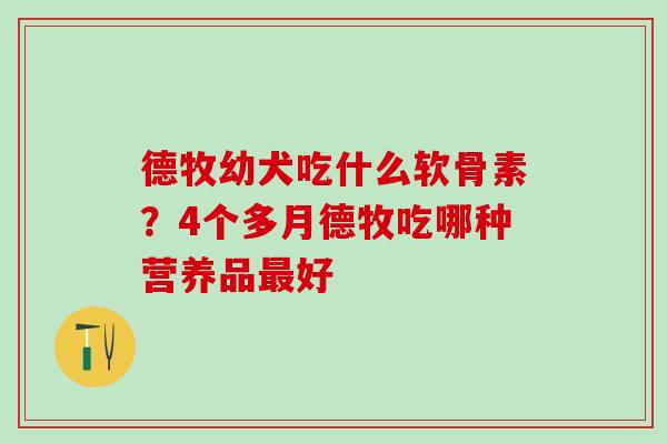 德牧幼犬吃什么软骨素?4个多月德牧吃哪种营养品最好-第1张图片-氨糖科普网 德牧幼犬吃什么软骨素?4个多月德牧吃哪种营养品最好-第1张图片-氨糖科普网