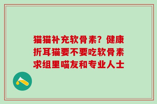 猫猫补充软骨素？健康折耳猫要不要吃软骨素求组里喵友和专业人士-第1张图片-氨糖科普网